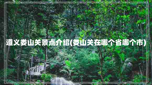 遵义娄山关景点介绍(娄山关在哪个省哪个市)