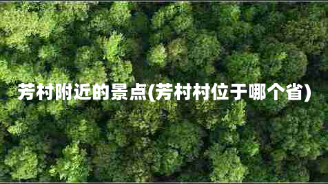 芳村附近的景点(芳村村位于哪个省)