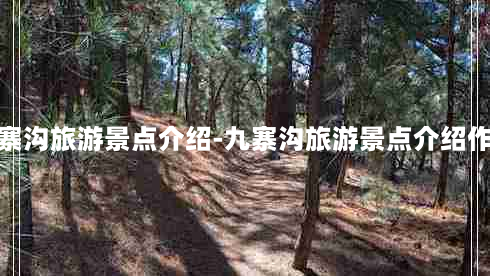 九寨沟旅游景点介绍-九寨沟旅游景点介绍作文