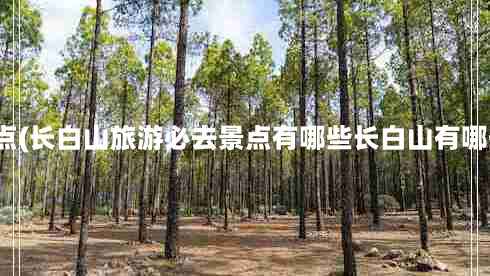 长白山主要旅游景点(长白山旅游必去景点有哪些长白山有哪些旅游景点值得去)