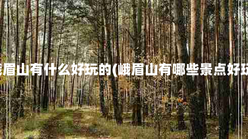 峨眉山有什么好玩的(峨眉山有哪些景点好玩)