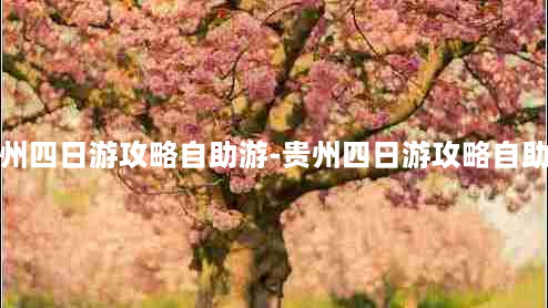 贵州四日游攻略自助游-贵州四日游攻略自助游