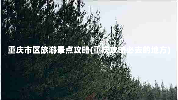 重庆市区旅游景点攻略(重庆攻略必去的地方)