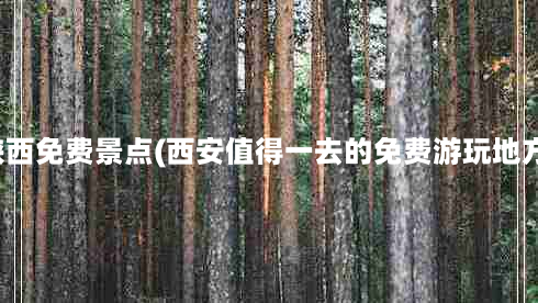 陕西免费景点(西安值得一去的免费游玩地方)