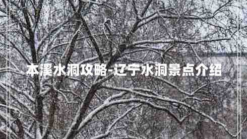 本溪水洞攻略-辽宁水洞景点介绍