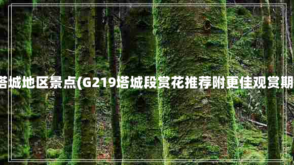 塔城地区景点(G219塔城段赏花推荐附更佳观赏期)