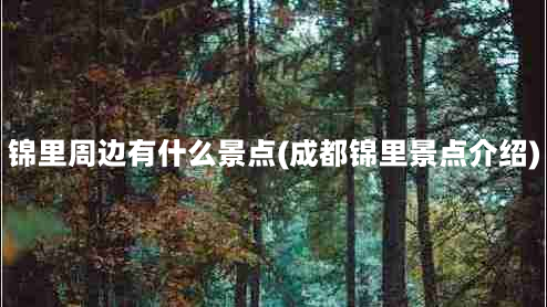 锦里周边有什么景点(成都锦里景点介绍)