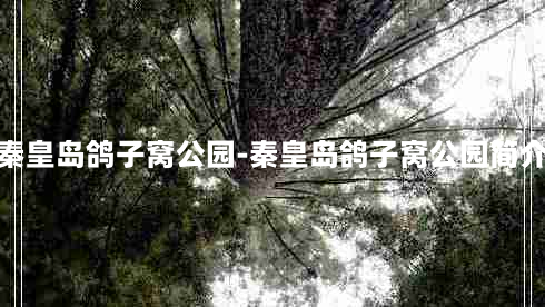 秦皇岛鸽子窝公园-秦皇岛鸽子窝公园简介