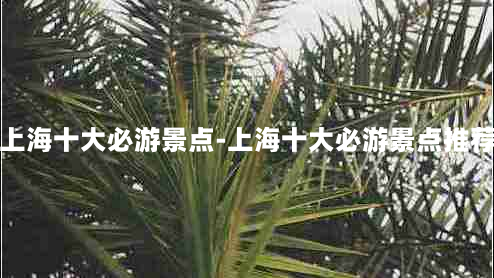 上海十大必游景点-上海十大必游景点推荐