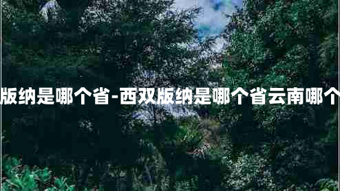 西双版纳是哪个省-西双版纳是哪个省云南哪个城市