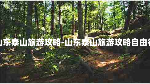 山东泰山旅游攻略-山东泰山旅游攻略自由行