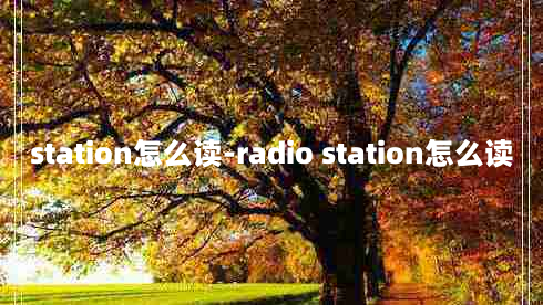 station怎么读-radio station怎么读