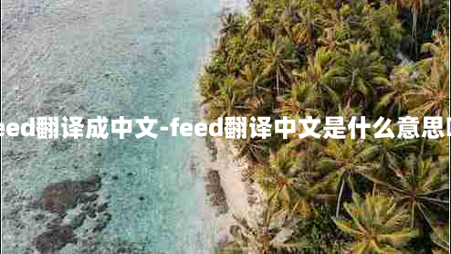 feed翻译成中文-feed翻译中文是什么意思啊