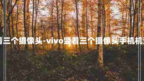 vivo竖着三个摄像头-vivo竖着三个摄像头手机机型有哪些