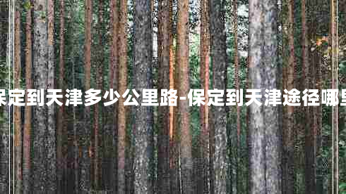 保定到天津多少公里路-保定到天津途径哪里