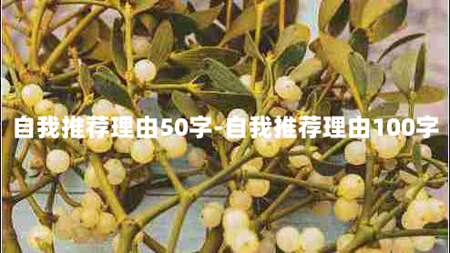 自我推荐理由50字-自我推荐理由100字