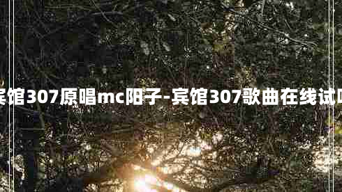 宾馆307原唱mc阳子-宾馆307歌曲在线试听