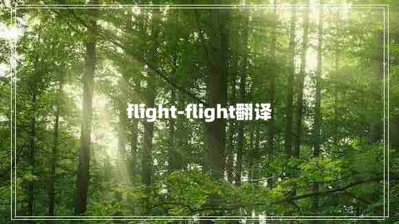 flight-flight翻译