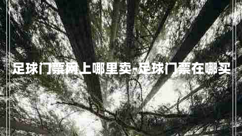 足球门票网上哪里卖-足球门票在哪买