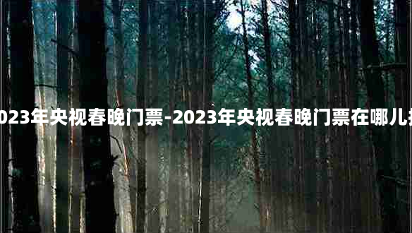 2023年央视春晚门票-2023年央视春晚门票在哪儿抢