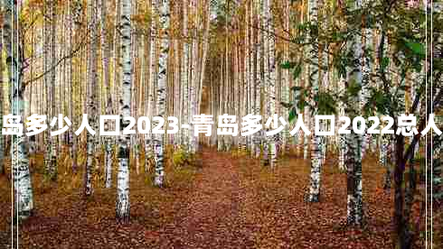 青岛多少人口2023-青岛多少人口2022总人数