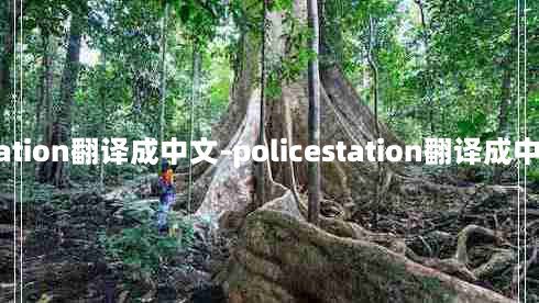 station翻译成中文-policestation翻译成中文