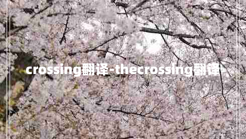 crossing翻译-thecrossing翻译