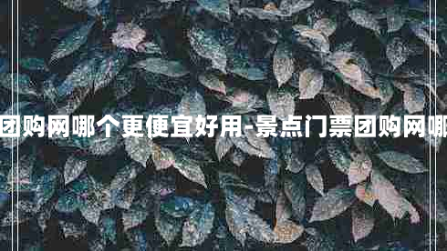 门票团购网哪个更便宜好用-景点门票团购网哪个好