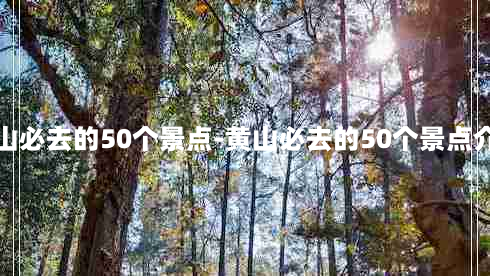 黄山必去的50个景点-黄山必去的50个景点介绍