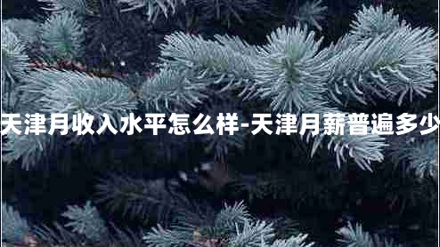 天津月收入水平怎么样-天津月薪普遍多少