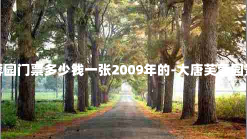 大唐芙蓉园门票多少钱一张2009年的-大唐芙蓉园景点门票