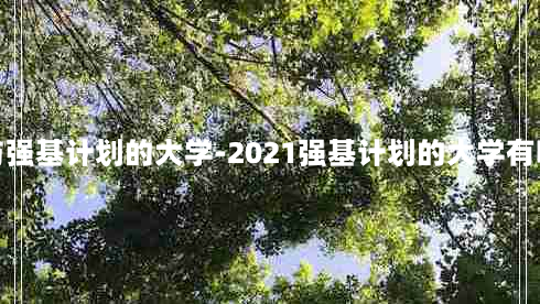 参与强基计划的大学-2021强基计划的大学有哪些