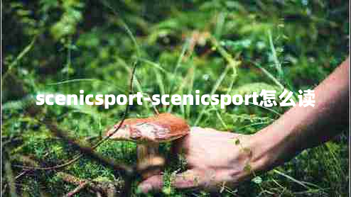 scenicsport-scenicsport怎么读