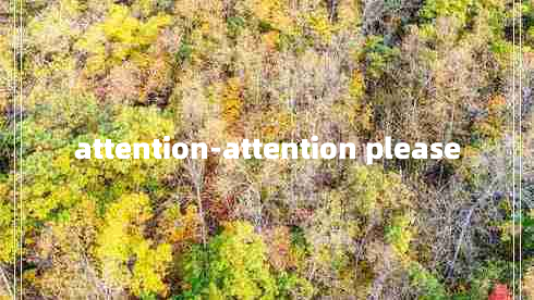 attention-attention please