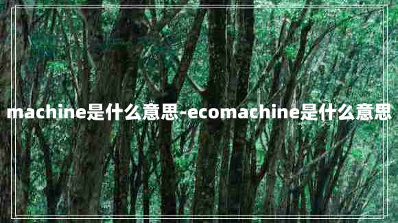 machine是什么意思-ecomachine是什么意思