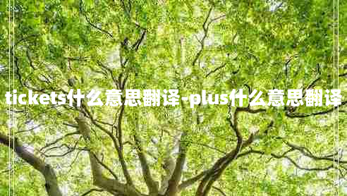 tickets什么意思翻译-plus什么意思翻译