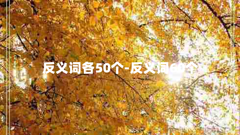 反义词各50个-反义词60个