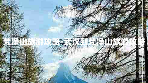 梵净山旅游攻略-武汉到梵净山旅游攻略