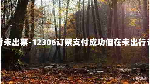 12306已支付未出票-12306订票支付成功但在未出行订单显示没有