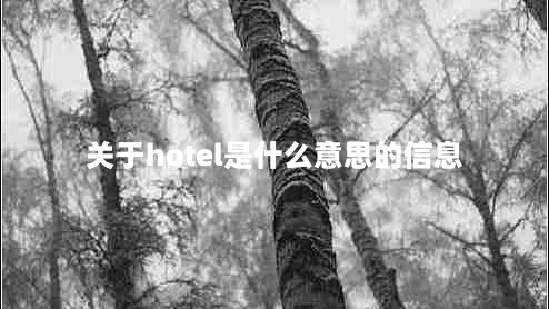 关于hotel是什么意思的信息