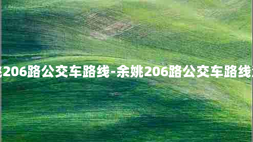 余姚206路公交车路线-余姚206路公交车路线沿线