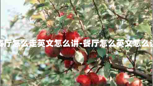 餐厅怎么走英文怎么讲-餐厅怎么英文怎么读