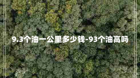 9.3个油一公里多少钱-93个油高吗