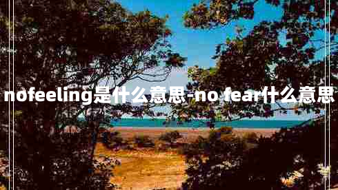 nofeeling是什么意思-no fear什么意思