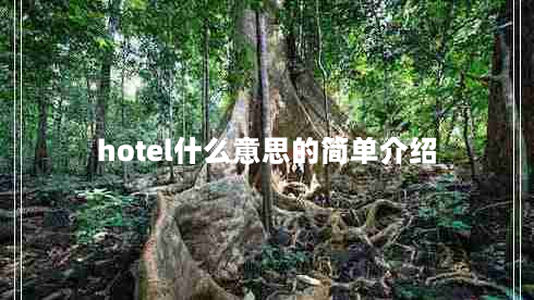 hotel什么意思的简单介绍