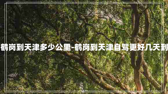 鹤岗到天津多少公里-鹤岗到天津自驾更好几天到