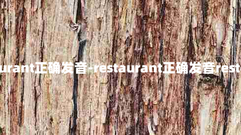 restaurant正确发音-restaurant正确发音restorant