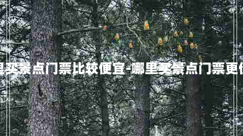 哪里买景点门票比较便宜-哪里买景点门票更便宜