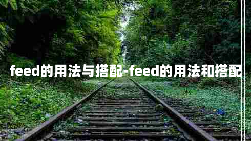 feed的用法与搭配-feed的用法和搭配