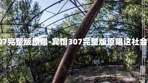 宾馆307完整版原唱-宾馆307完整版原唱这社会的现象